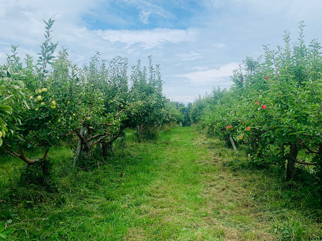 Verger Heath Orchard-Stanstead必去景点