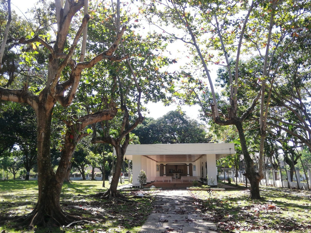 Holy Infant Jesus of Prague Shrine-达沃必去景点