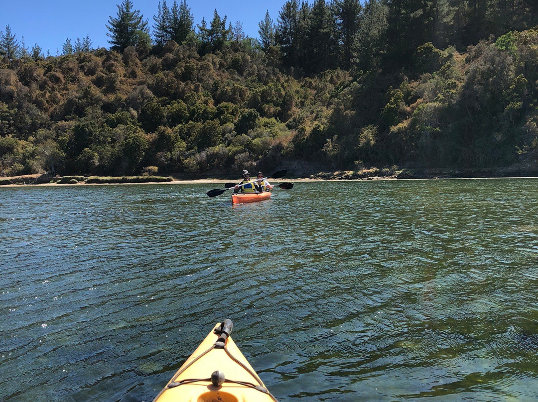 Chile Inexplorado Expediciones-皮钦勒姆必去景点