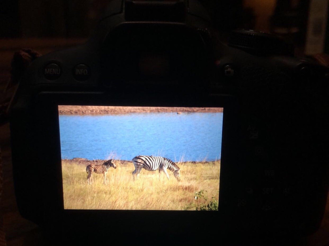 Outlook Safaris-克鲁格国家公园必去景点