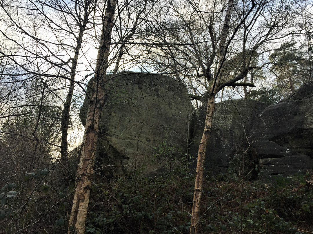 Eridge Rocks Nature Reserve景点图片