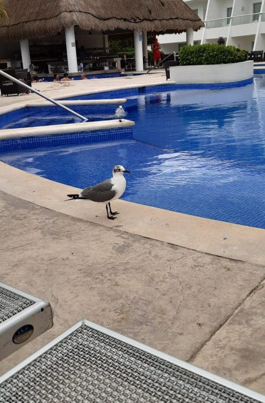 Q湾套房度假村主图