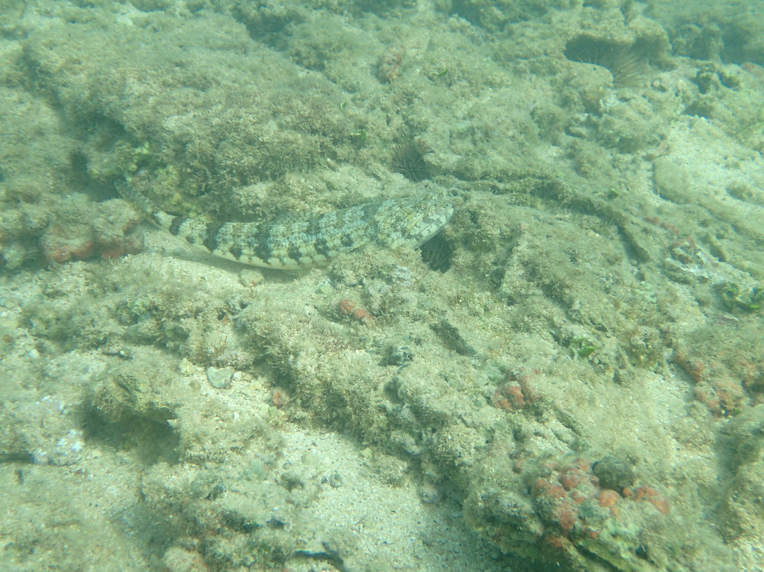 Kuilima Cove-Kawela Bay必去景点