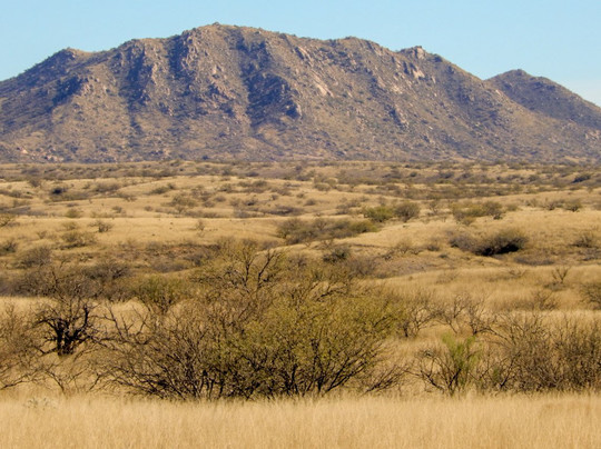 Buenos Aires National Wildlife Refuge-Arivaca必去景点