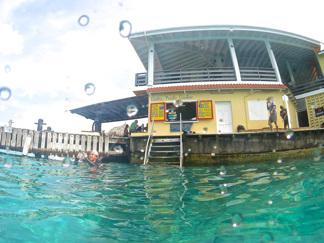 Buddy Dive Resort主图