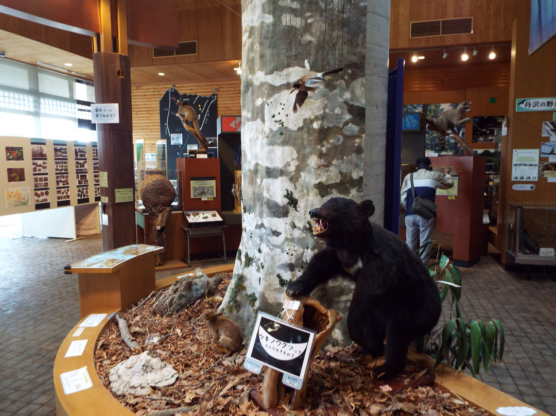 Hadano Togawa Park-秦野市必去景点