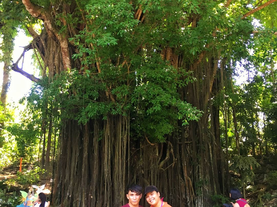 Travis Travel and Tours-杜马盖地必去景点