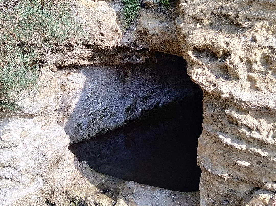 Giardino della Kolymbethra景点图片