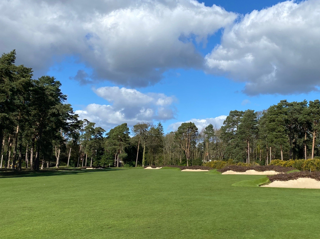 Worplesdon Golf Club景点图片
