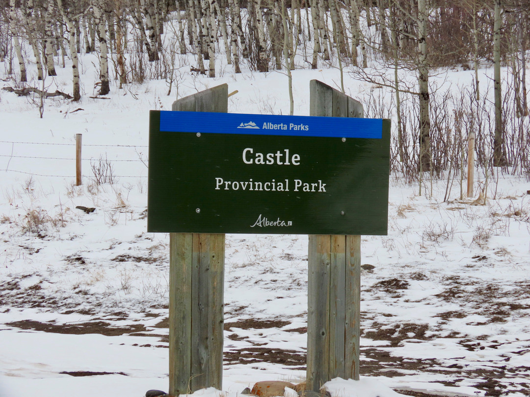 Castle Provincial Park景点图片