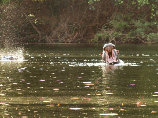 Outamba Kilimi National Park-Northern Province必去景点