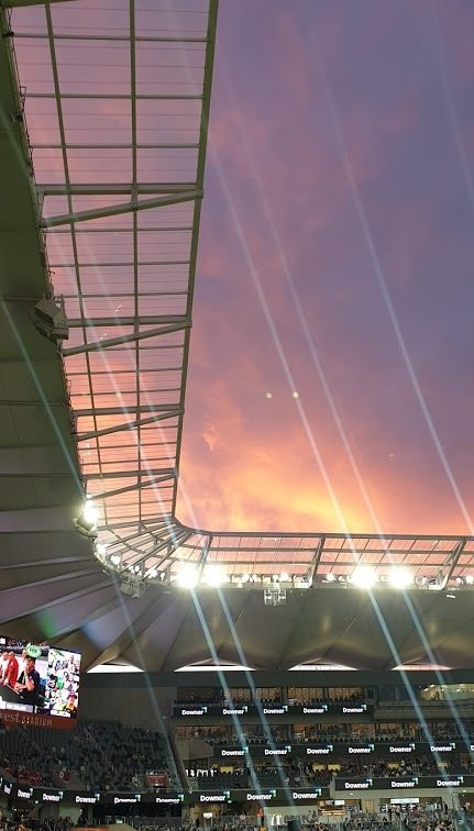 Commbank Stadium景点图片