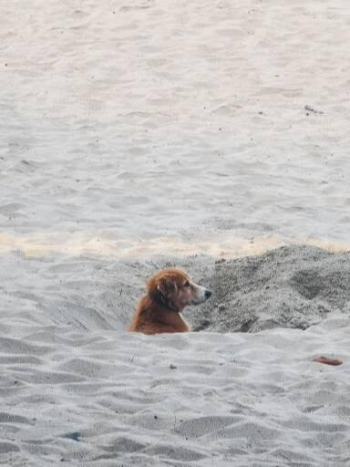 Krishna Ayurveda Massage Centre-雅高达必去景点