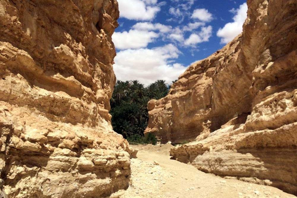 Across Africa Tours LLC-Zarzis必去景点