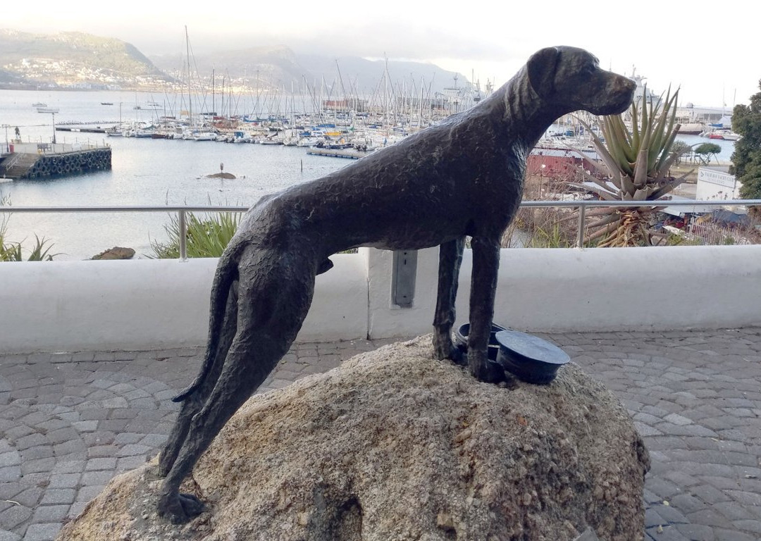 Just Nuisance-西门镇必去景点