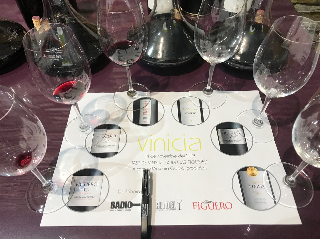 Vinicia景点图片