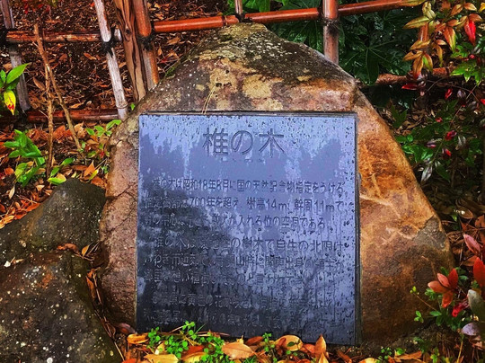 Shomyo-ji Temple-亘理町必去景点