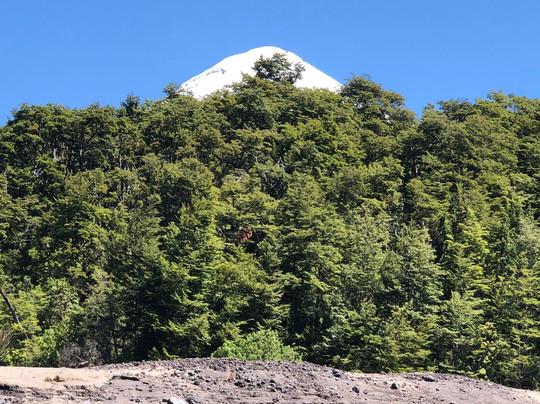 Puerto Varas Gringo Hiking Tours-巴拉斯港必去景点