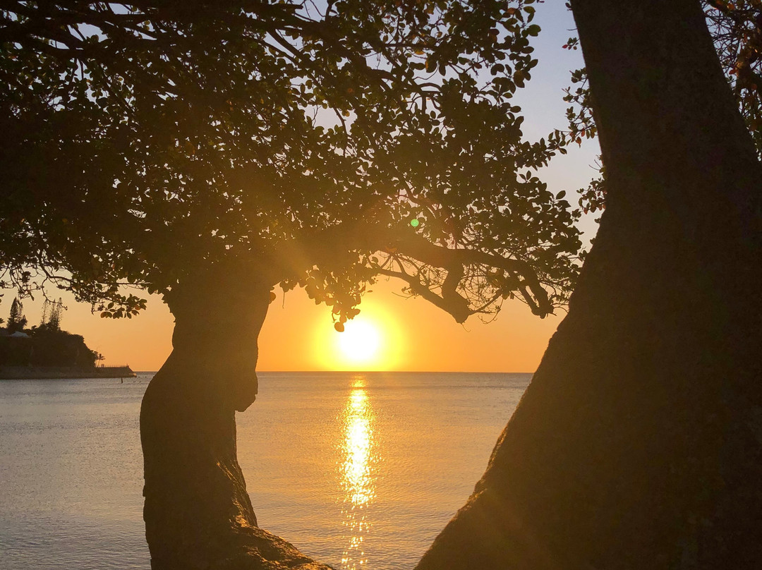 Lemon Bay-努美阿必去景点