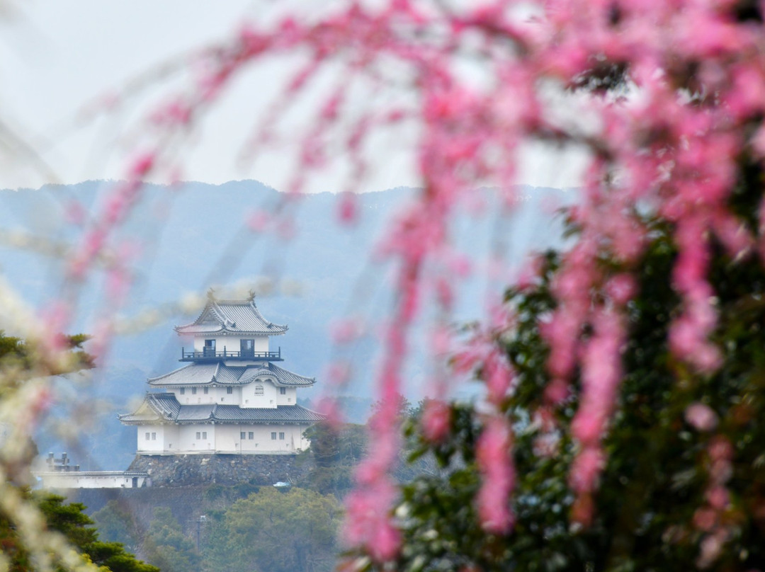 Tatsuo Shrine Hanateien景点图片