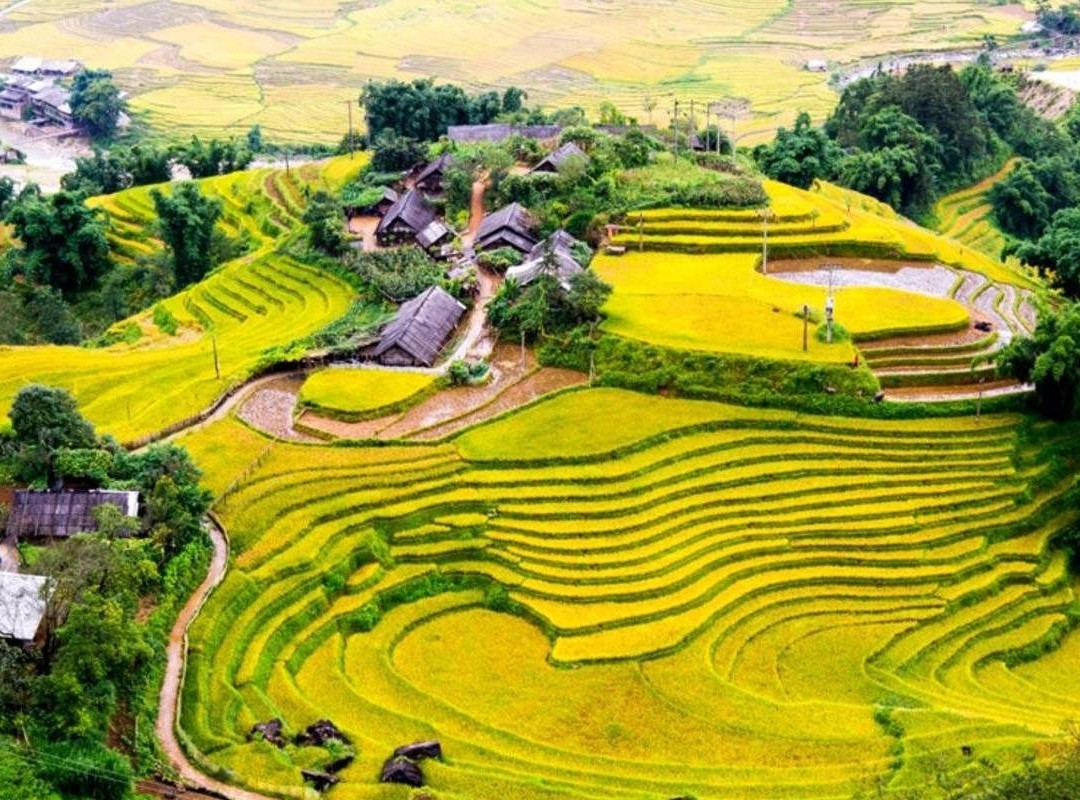 Sapa Local Trekking Adventures景点图片