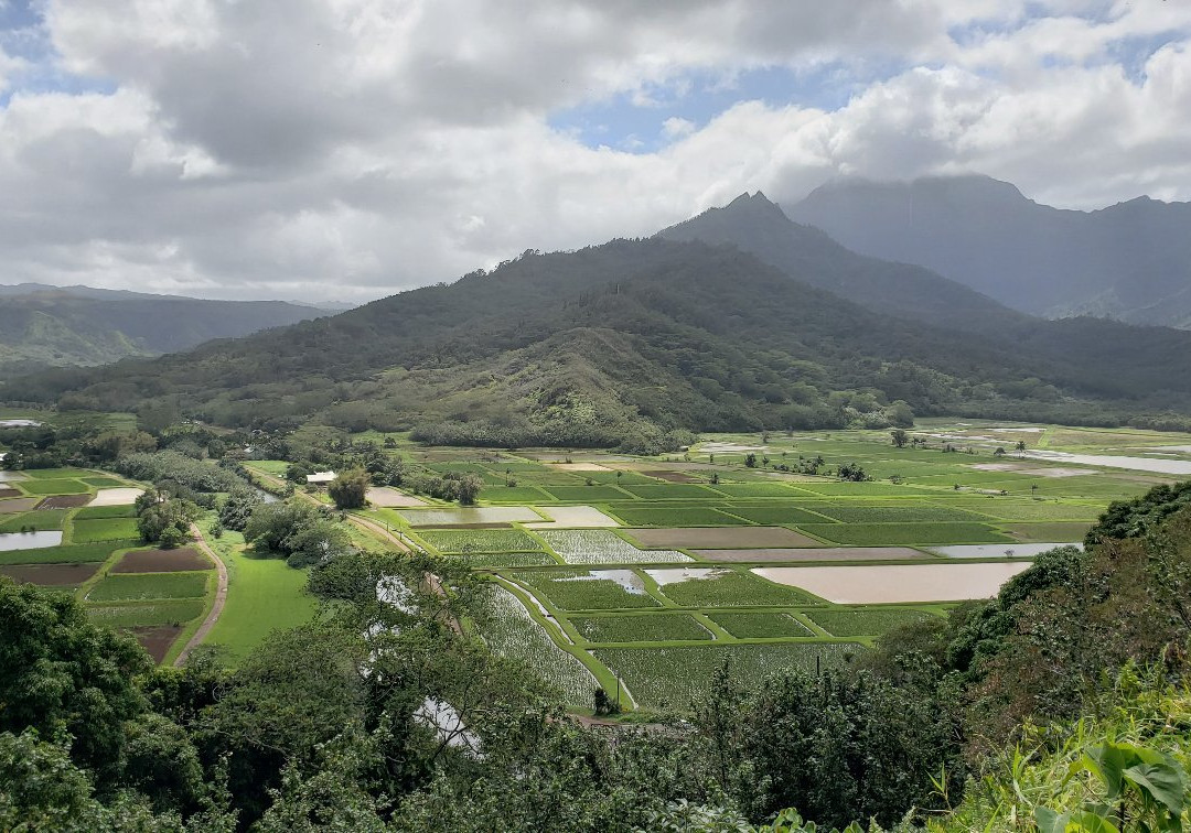 Hanalei Valley Lookout-普林斯维尔必去景点