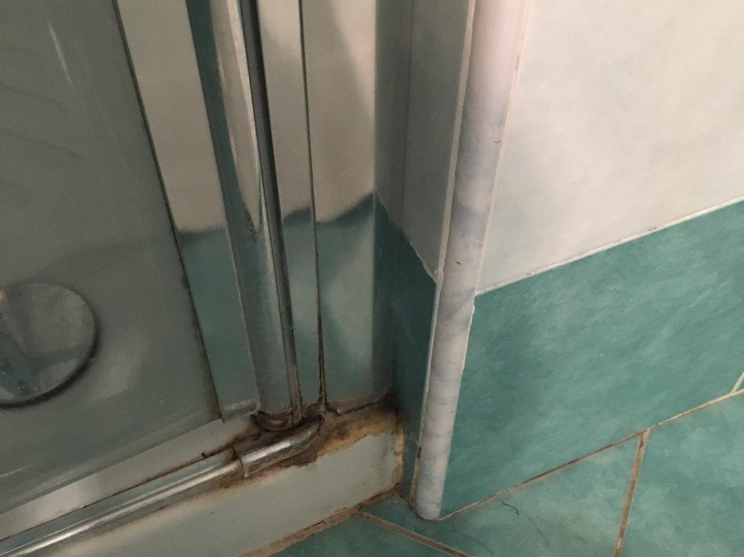 Lady B Bed & Breakfast主图