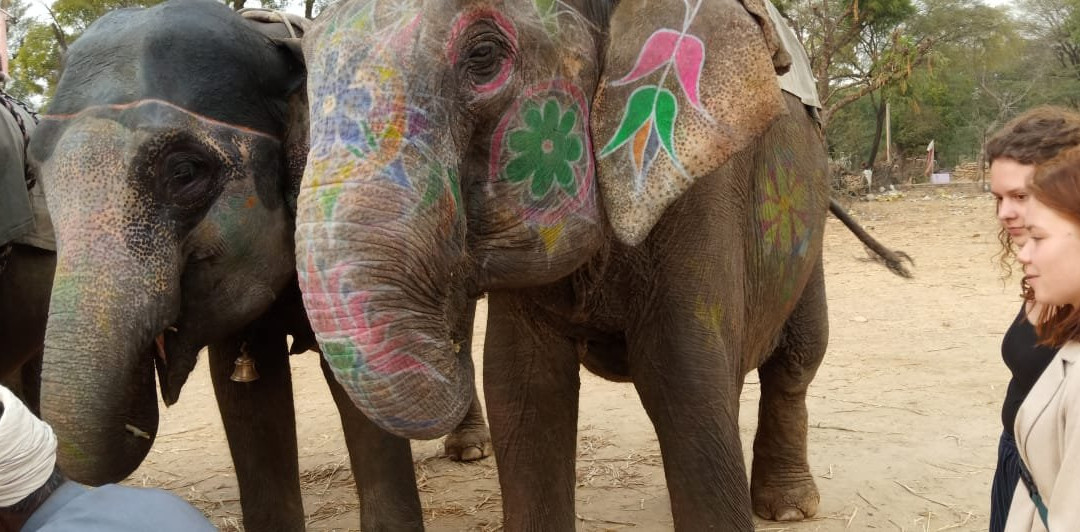 Ele Experience Farm-斋蒲尔必去景点