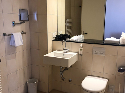 巴塞尔施维瑟酒店主图