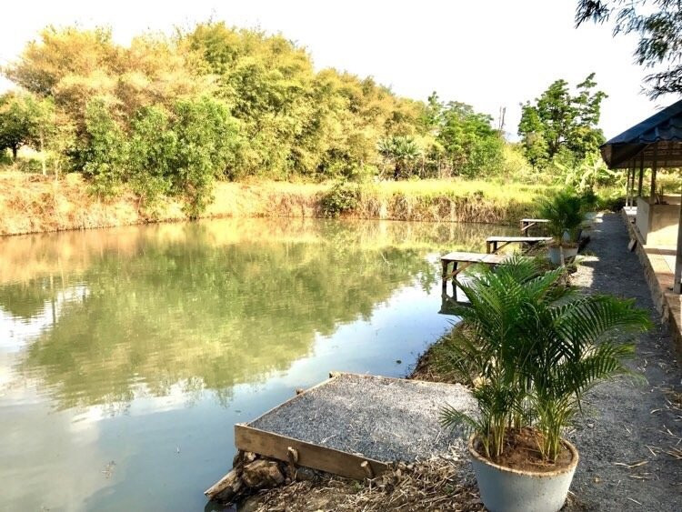 Lakeside Bar & Fishing Lake景点图片