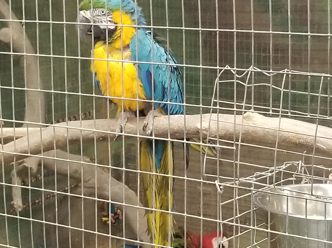 Star Eco Station-卡尔弗城必去景点