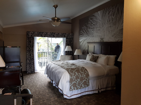 皇冠城堡酒店主图