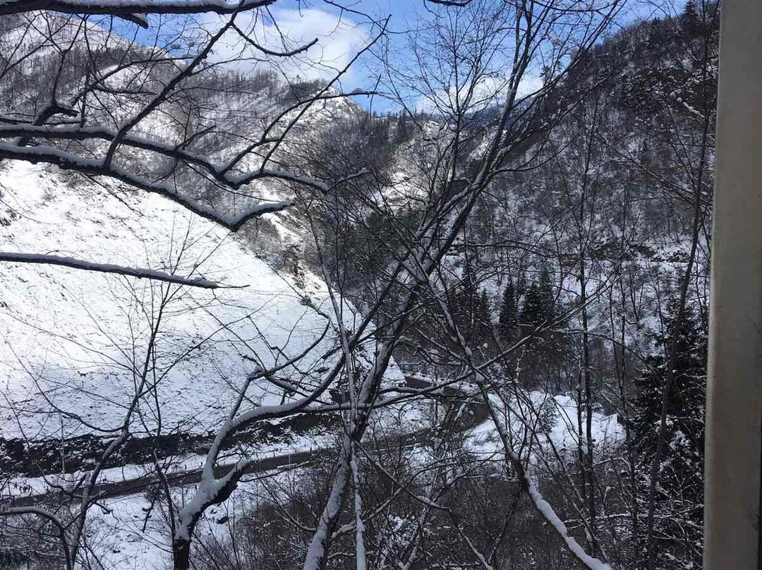 Borjomi-Bakuriani Railway-Borjomi必去景点