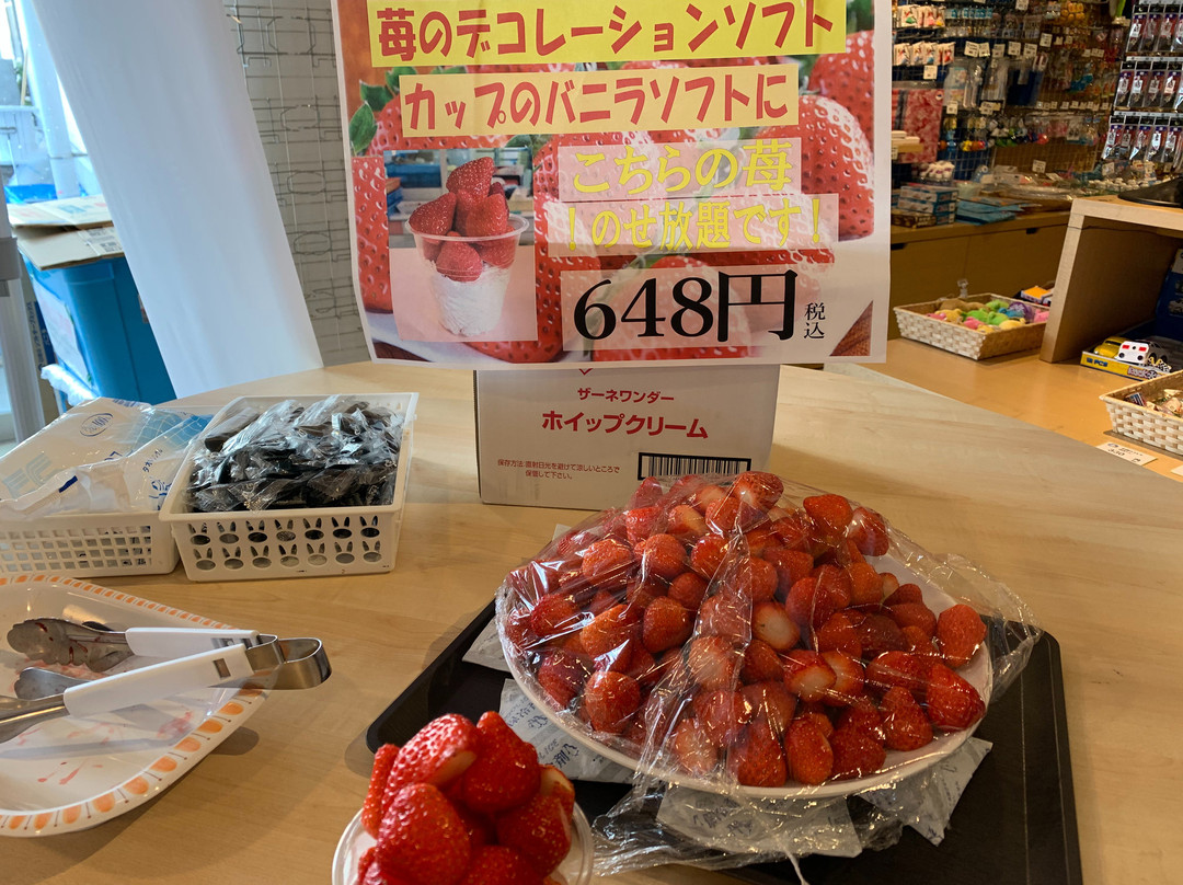 Izu Fruit Park-三岛市必去景点