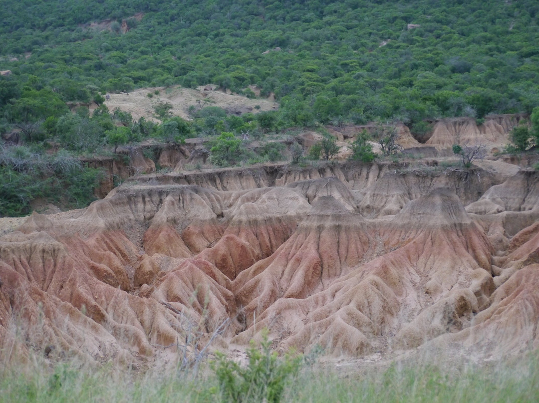 Louwsburg旅游攻略图片