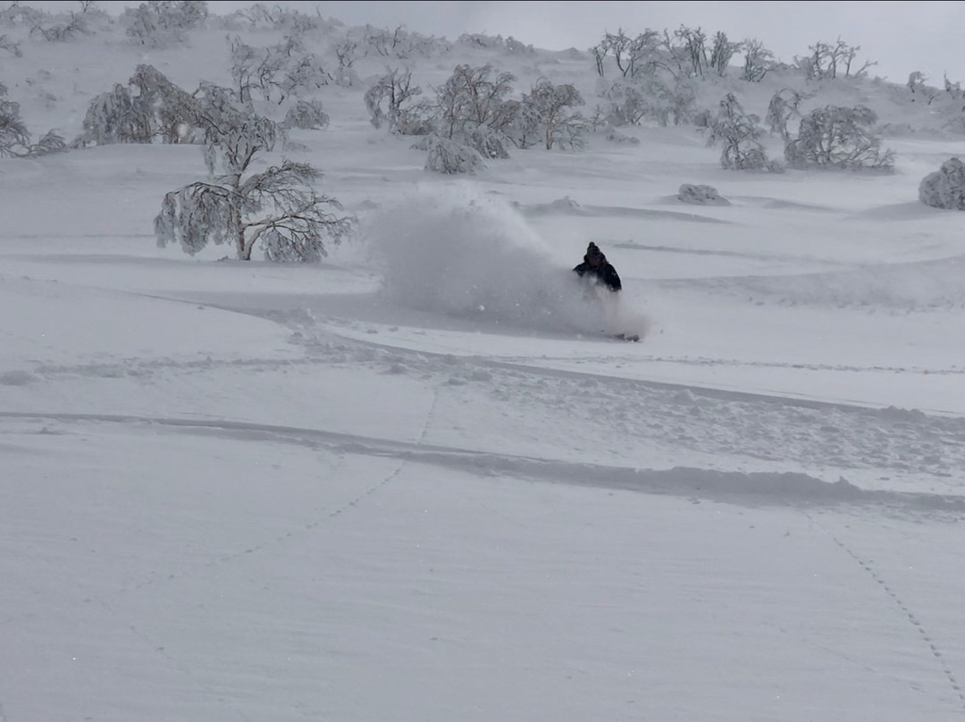 Japan Powder Connection-二世谷町必去景点