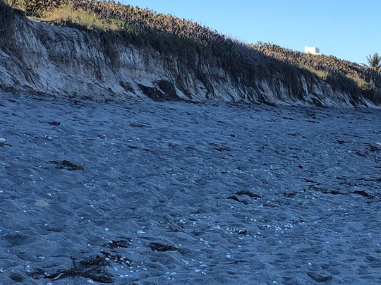 Coral Cove Park-Tequesta必去景点