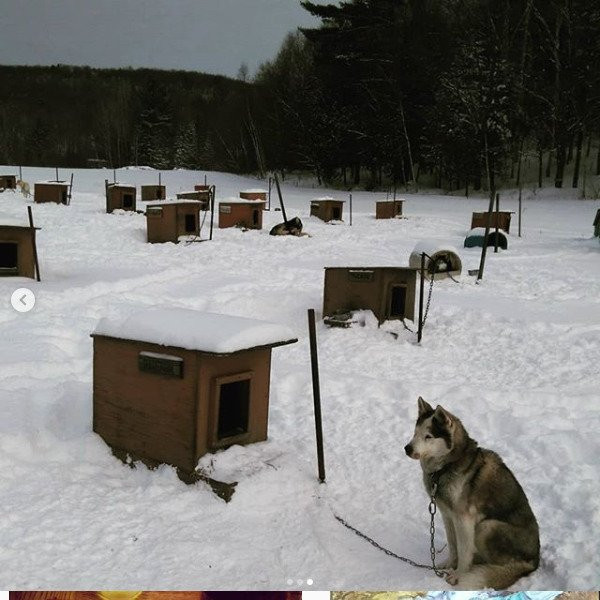 Bonjour Nature-蒙特利尔必去景点