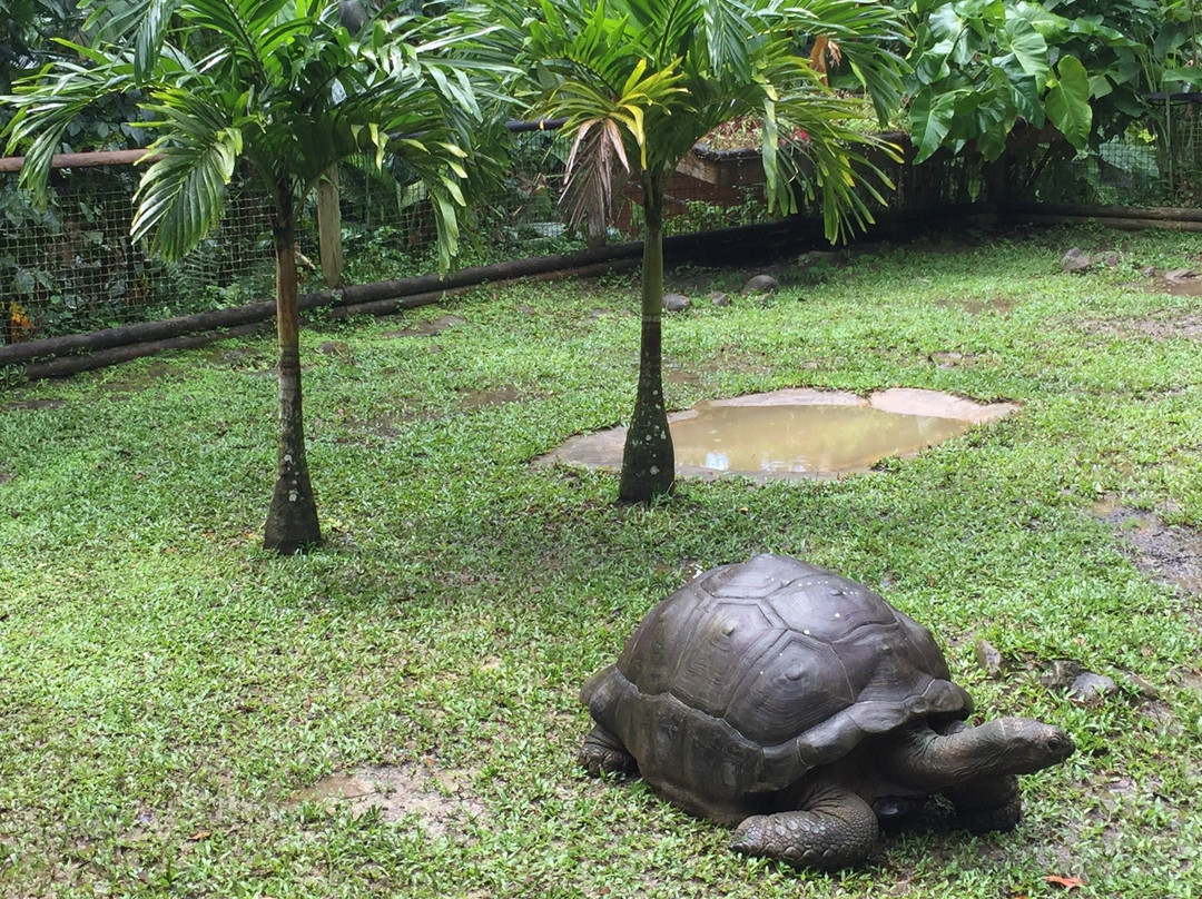 Zoo De Guadeloupe Au Parc Des Mamelles景点图片
