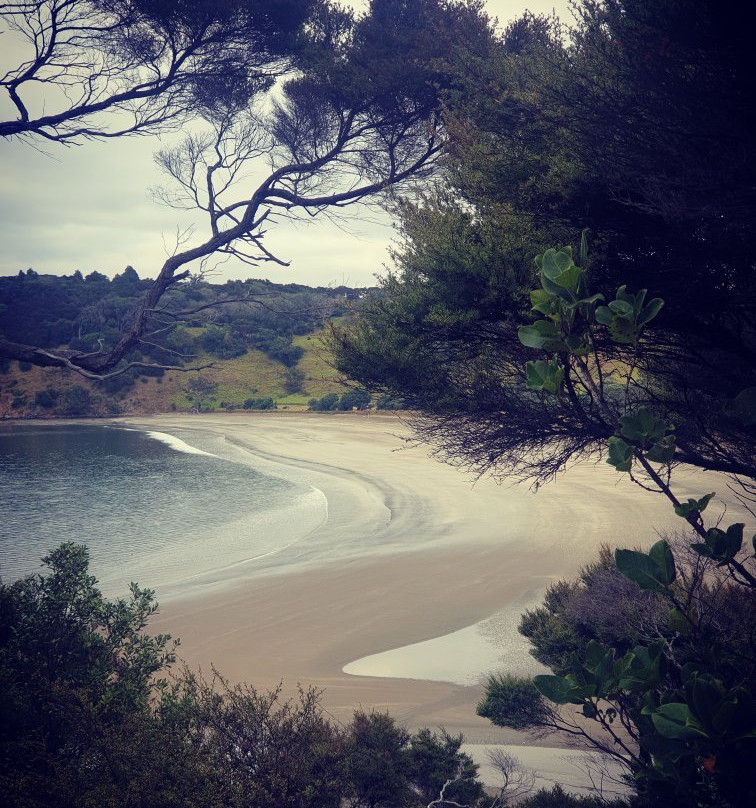 Mahurangi Regional Park-瓦卡沃夫必去景点
