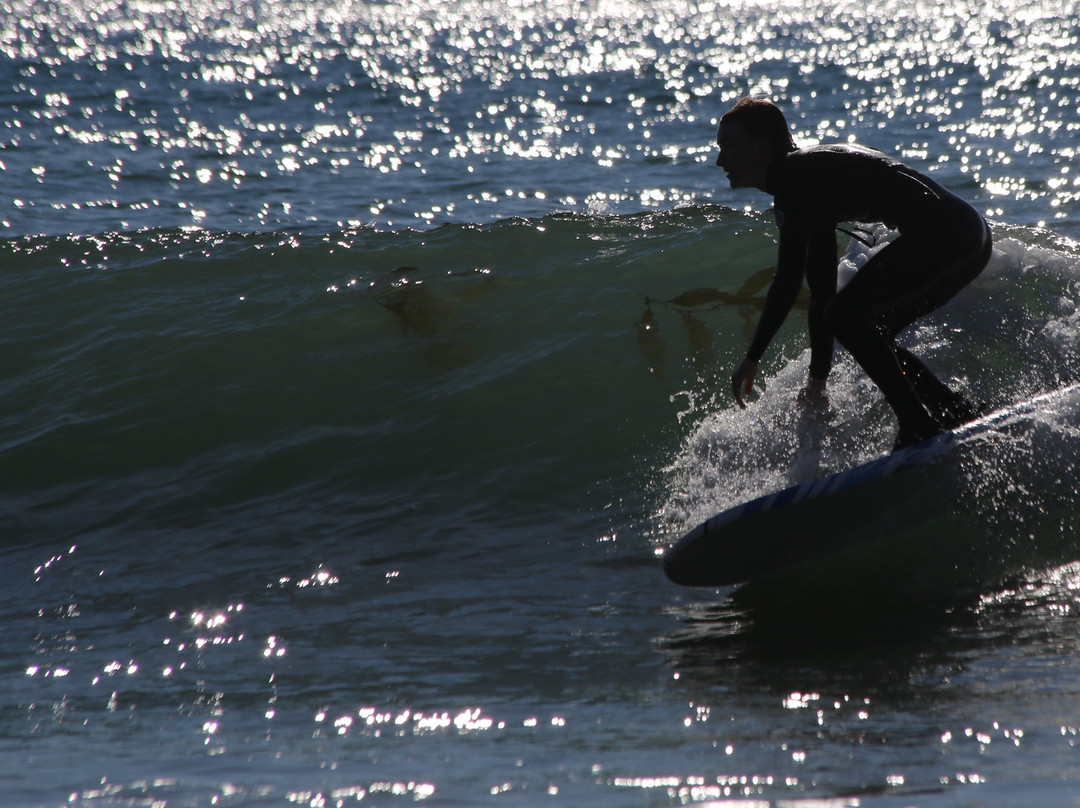 The Beach Plum Inn主图