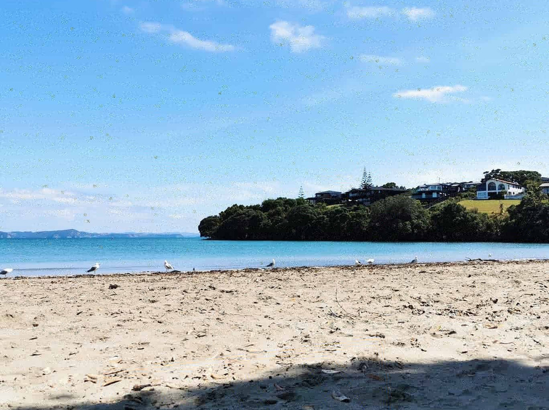 Little Manly Beach-旺阿帕劳阿必去景点