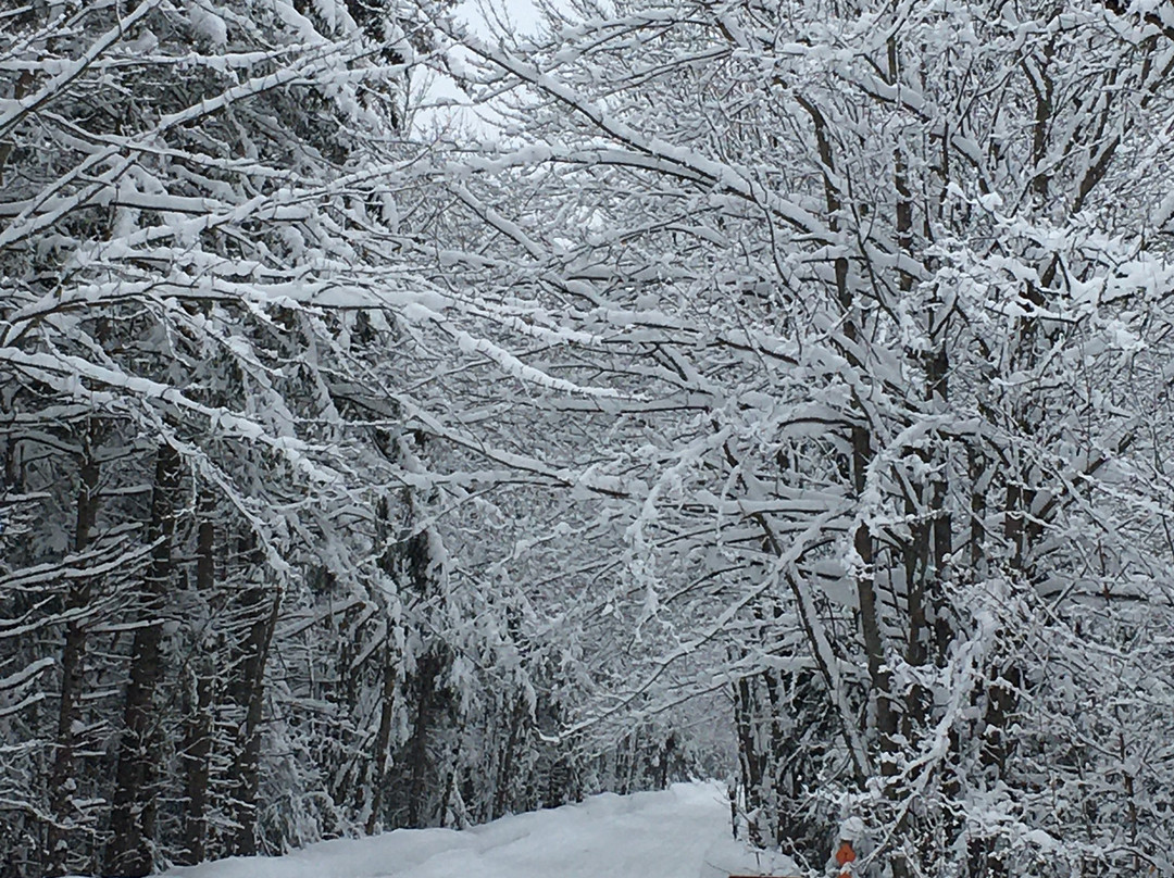 Munising Snowmobile Rentals-缪尼辛必去景点