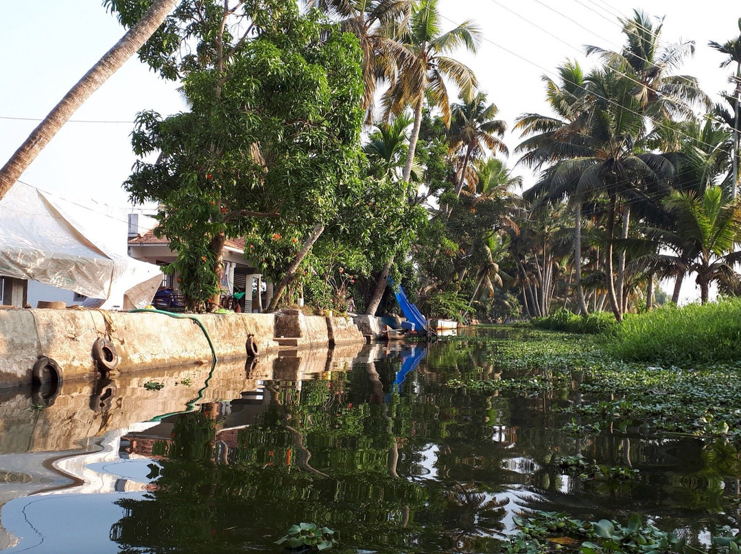 Paddy Land Tours-阿拉普扎必去景点
