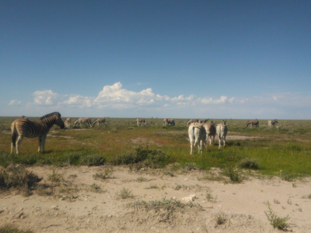 Discovery Transfer and Tour-温德和克必去景点