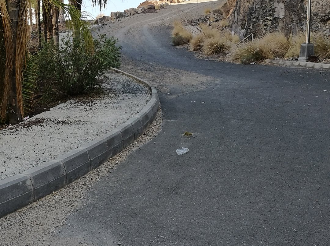 Monumento a la Vela Latina-大加那利岛拉斯帕尔马斯必去景点