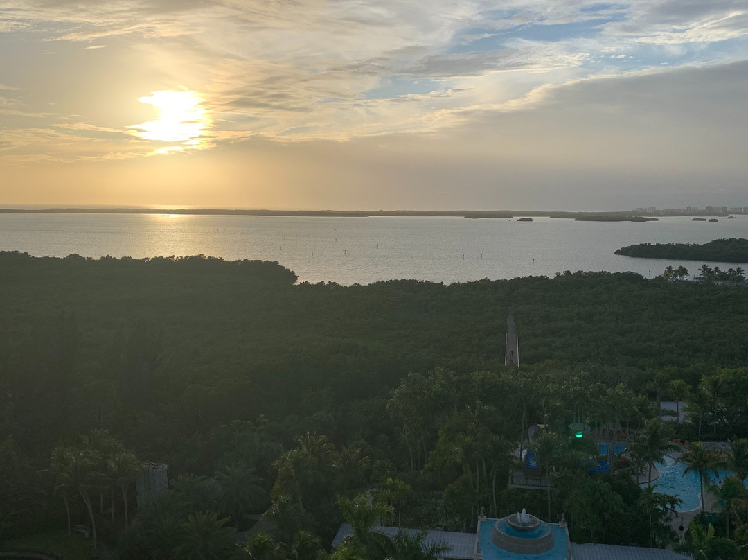 Hyatt Regency Coconut Point Resort And Spa主图