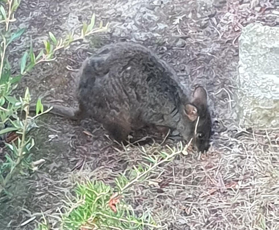 乡村家庭汽车旅馆主图