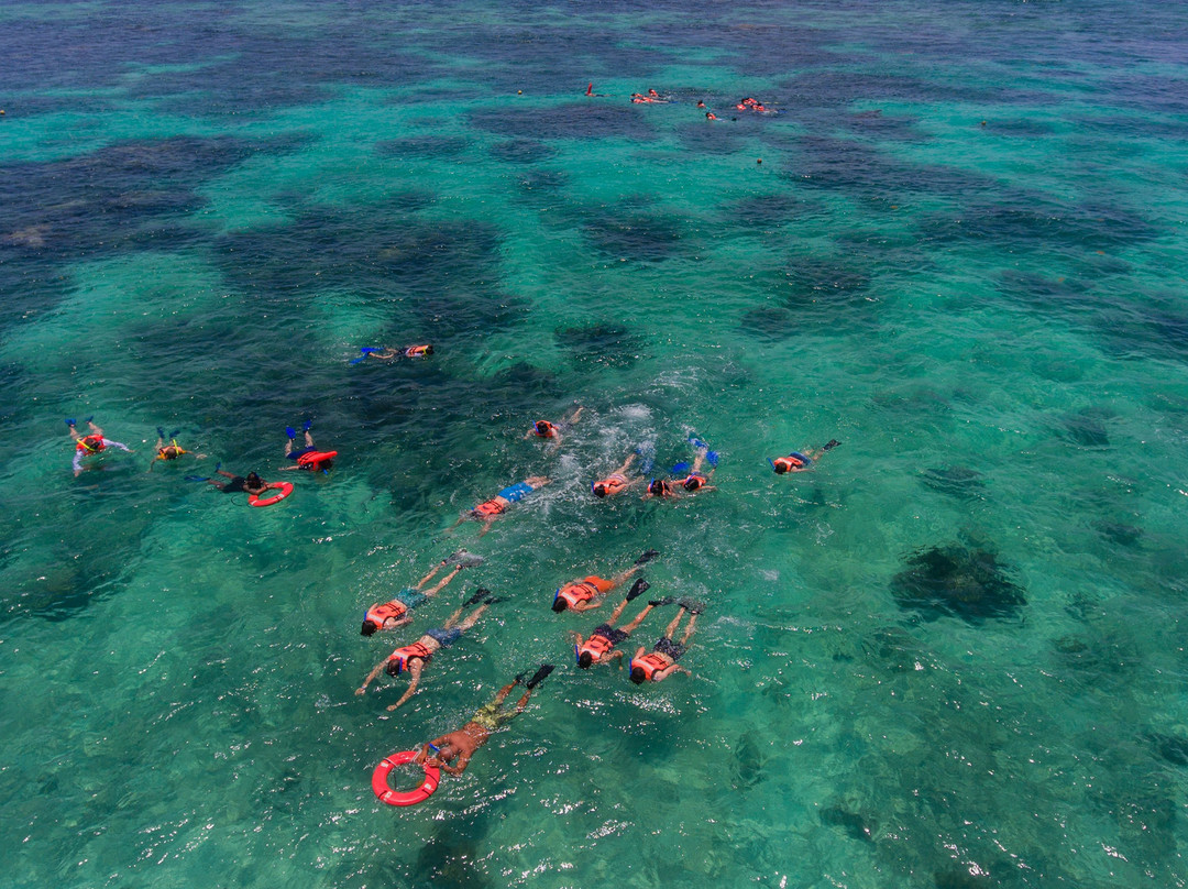 Asterix Contoy Tours-Isla Contoy必去景点