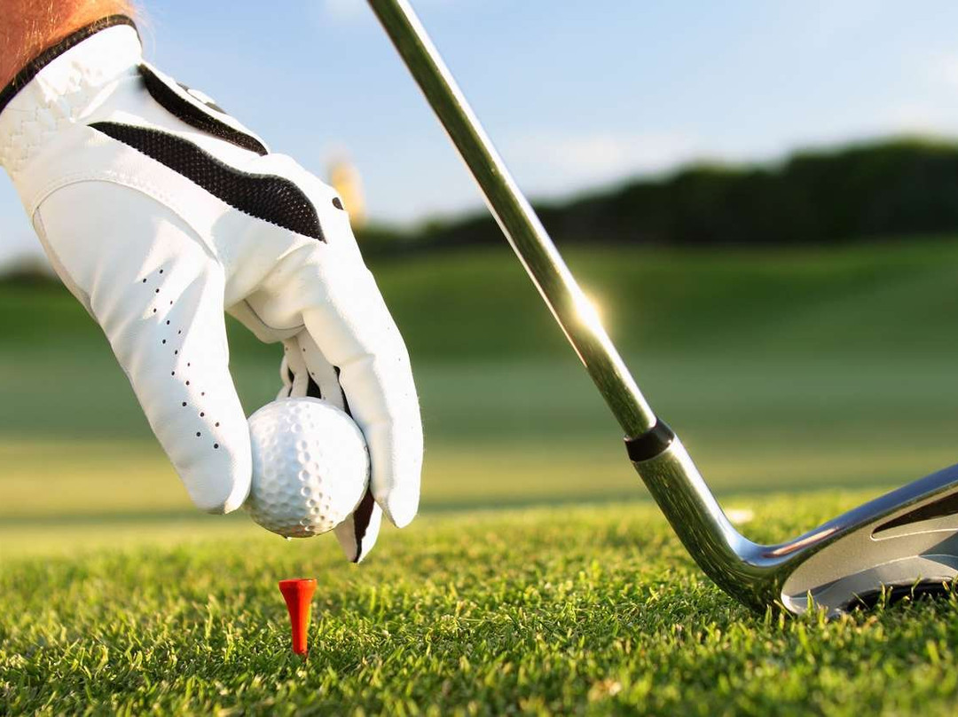 Voyageur Inn and Conference Center主图